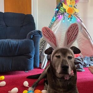 Meet your Posher, Theresa